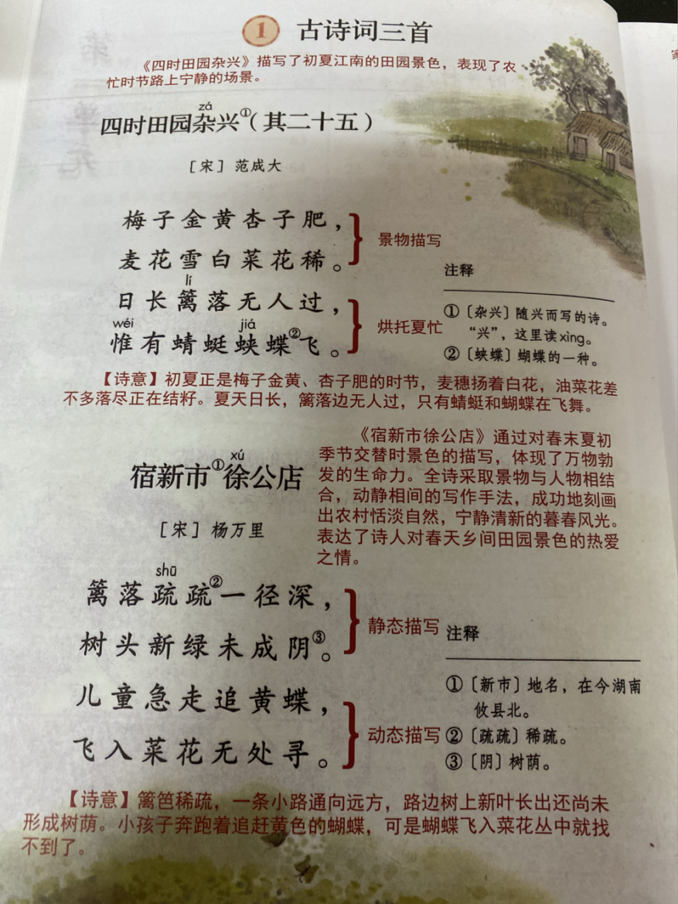 四下75151《古诗词三首》课堂笔记 #四年级语文