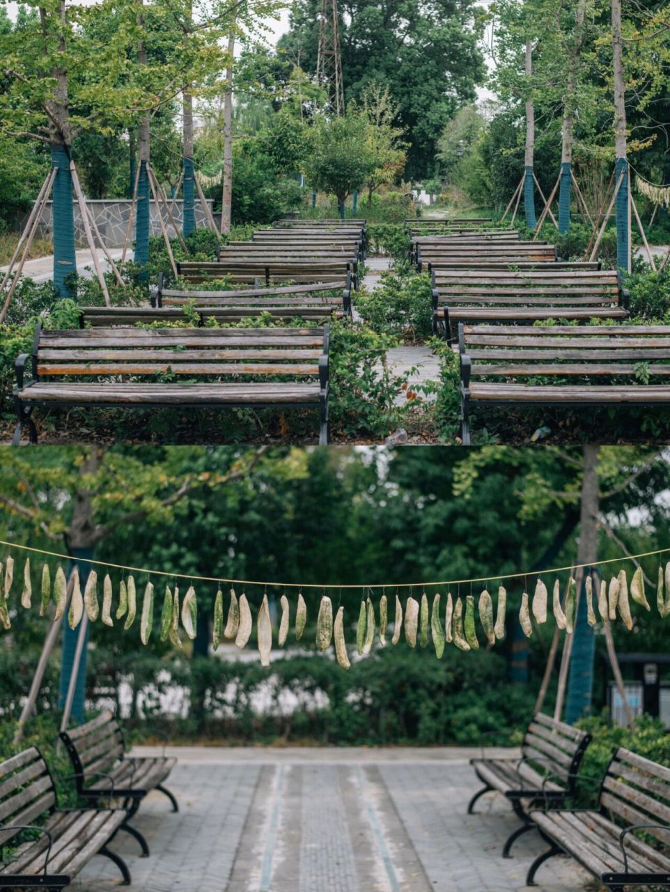 尽说江南好,我在皖中寻到一片天 99柘皋 位于安徽省巢湖市柘皋镇 是