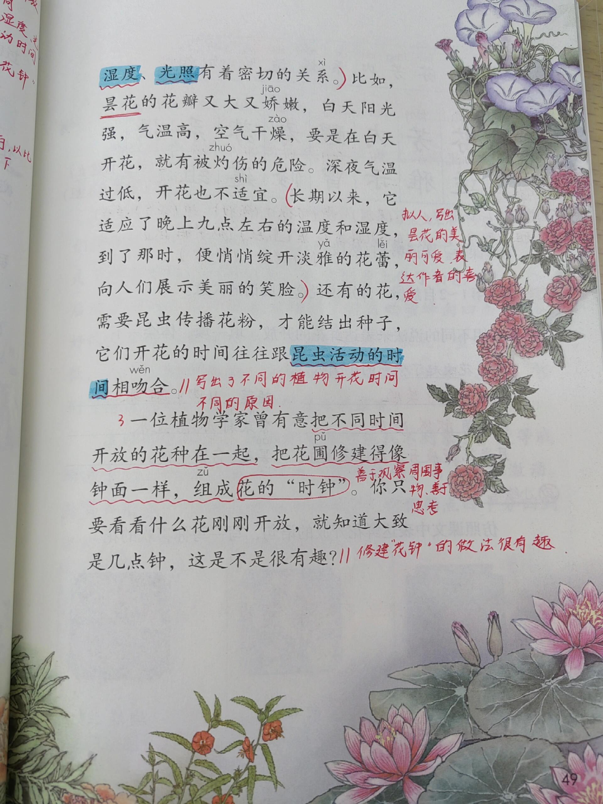 语文三下《花钟》课堂笔记@皓月山川的动态