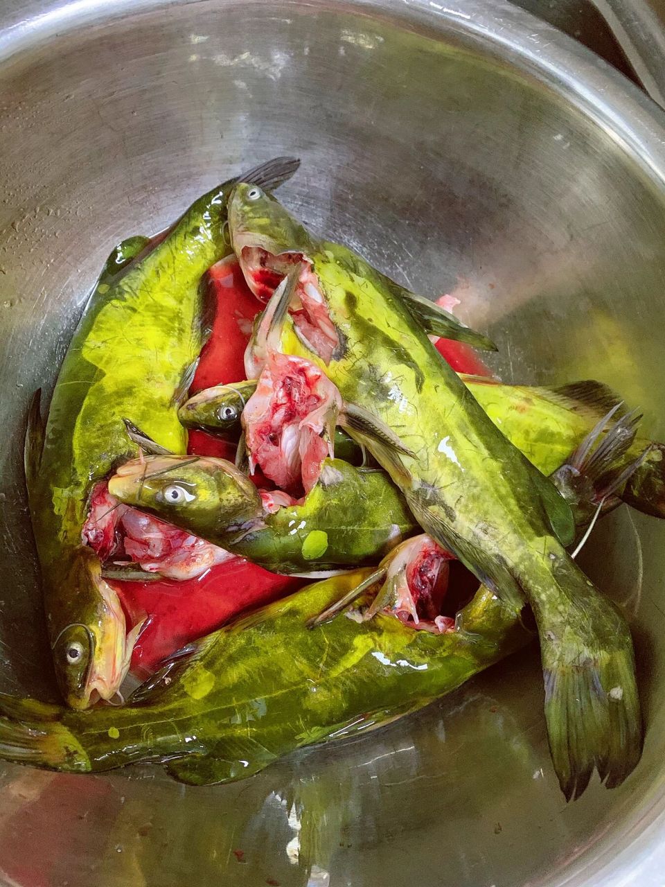 铁锅炖嘎鱼详细制作方法 铁锅炖嘎鱼制作方法如图所示 早市买的新鲜噶