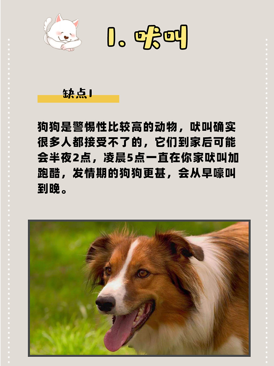 [期待][期待] 我整理了一些养狗给家里带来的麻烦