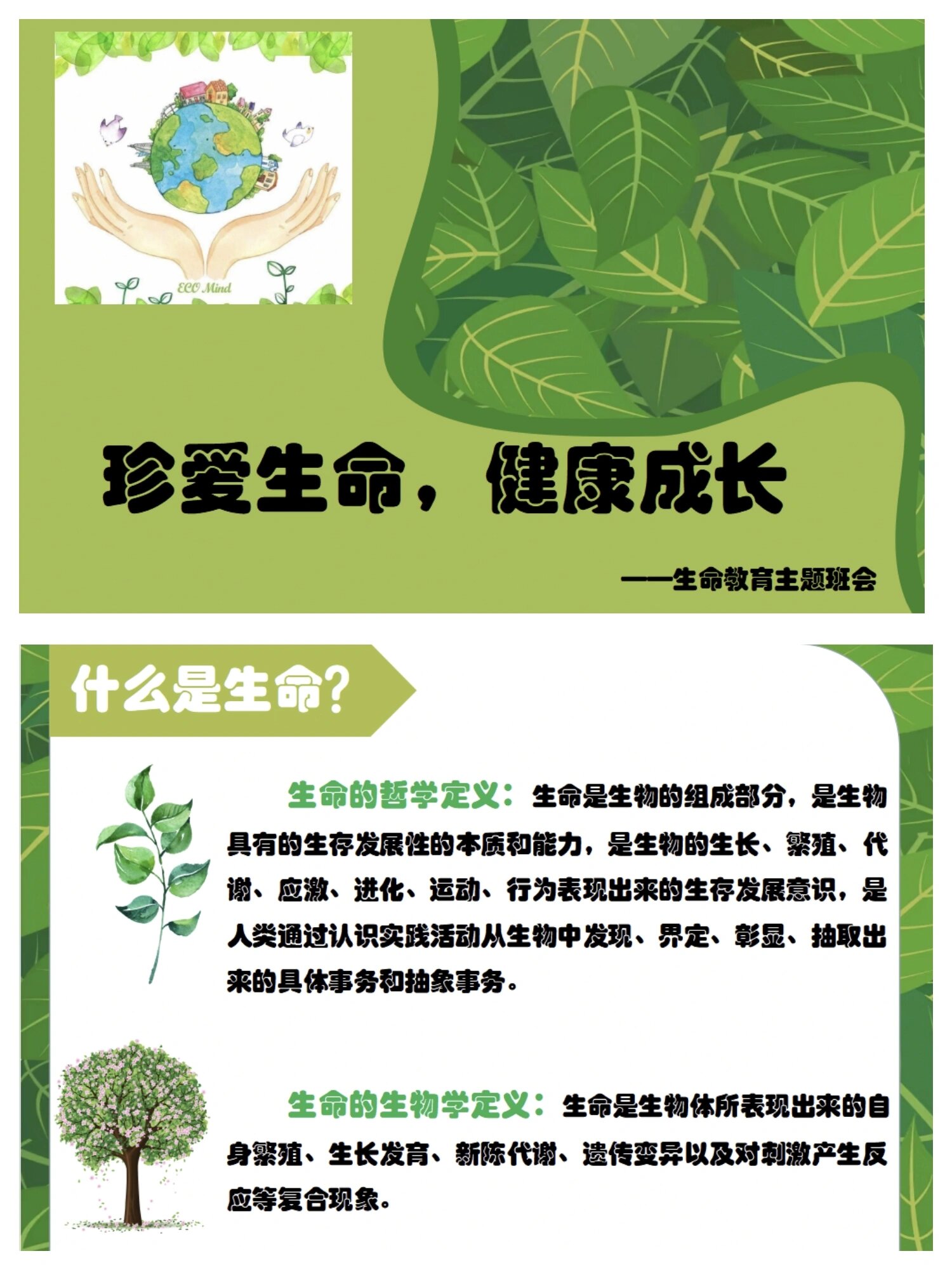 珍爱生命,健康成长主题班会