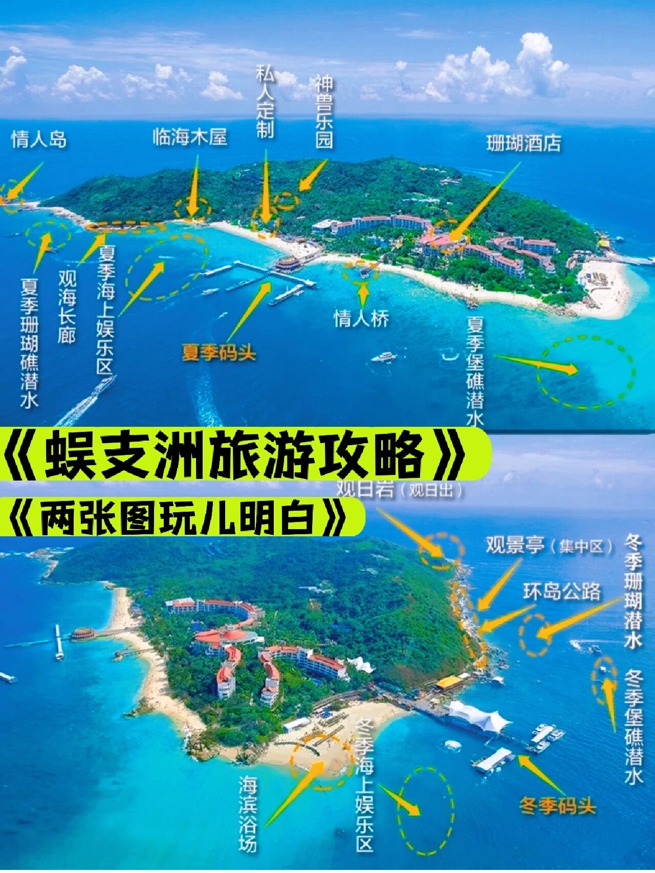 蜈支洲岛海底漫步图片