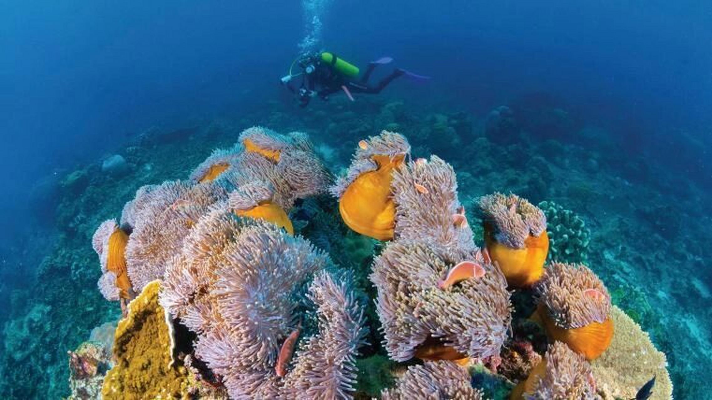 圣诞岛|有着独一无二的自然景观 圣诞岛位于珀斯西北 2,600 公里处,是