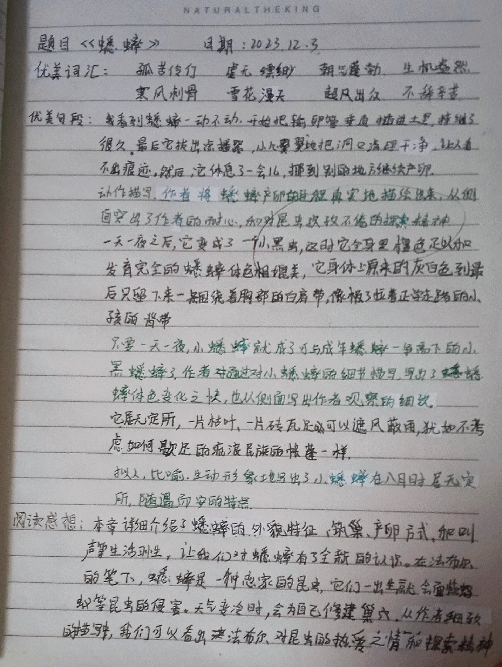 《昆虫记》蟋蟀 读书笔记