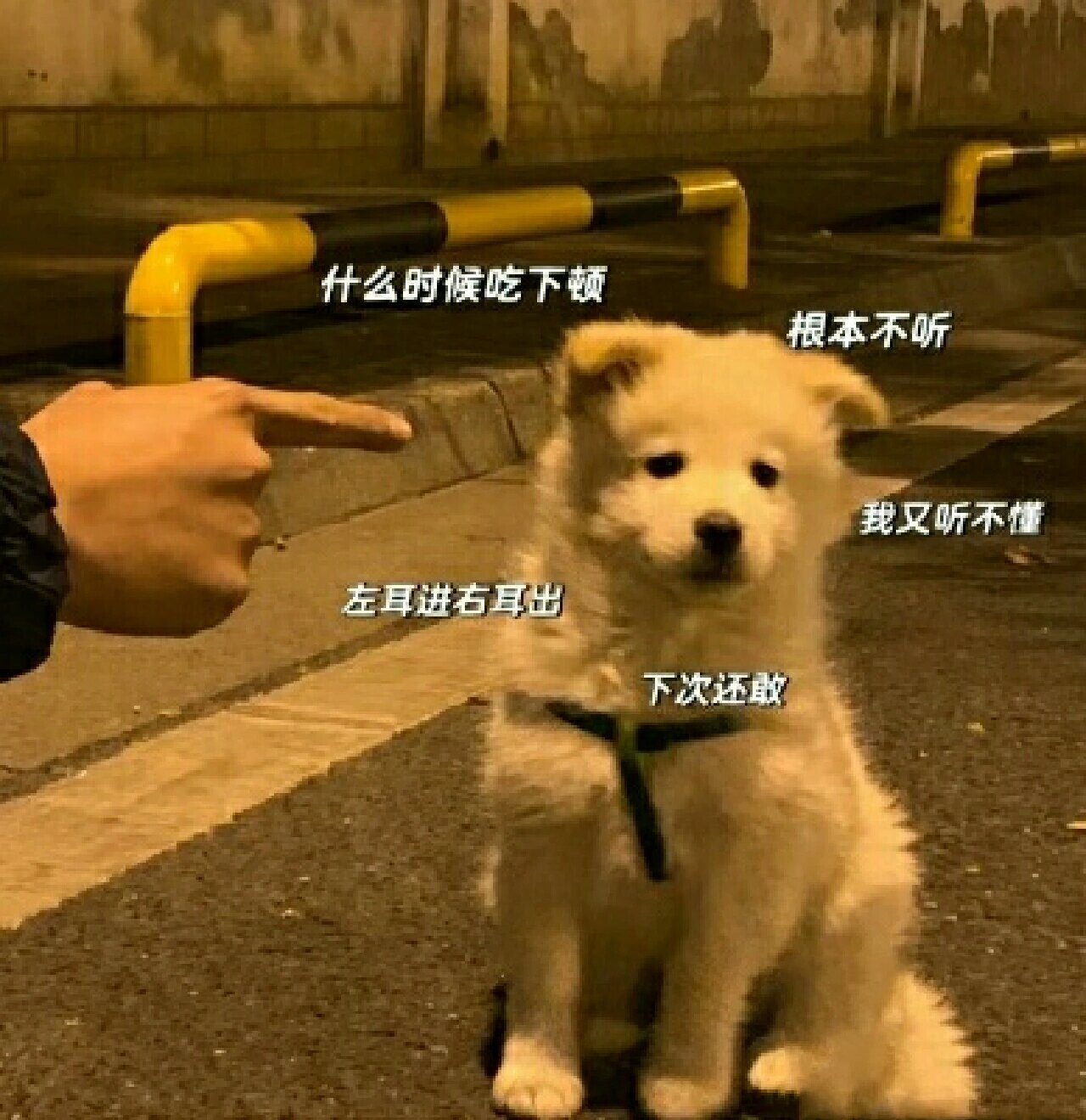 忍痛割爱的表情包