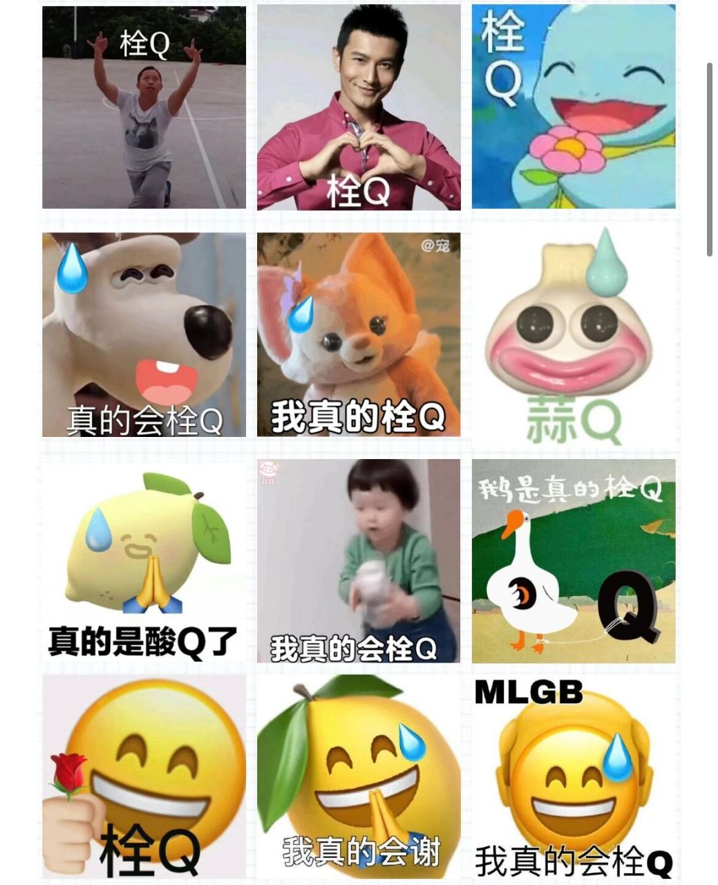 拴q表情包合集 我真的栓q