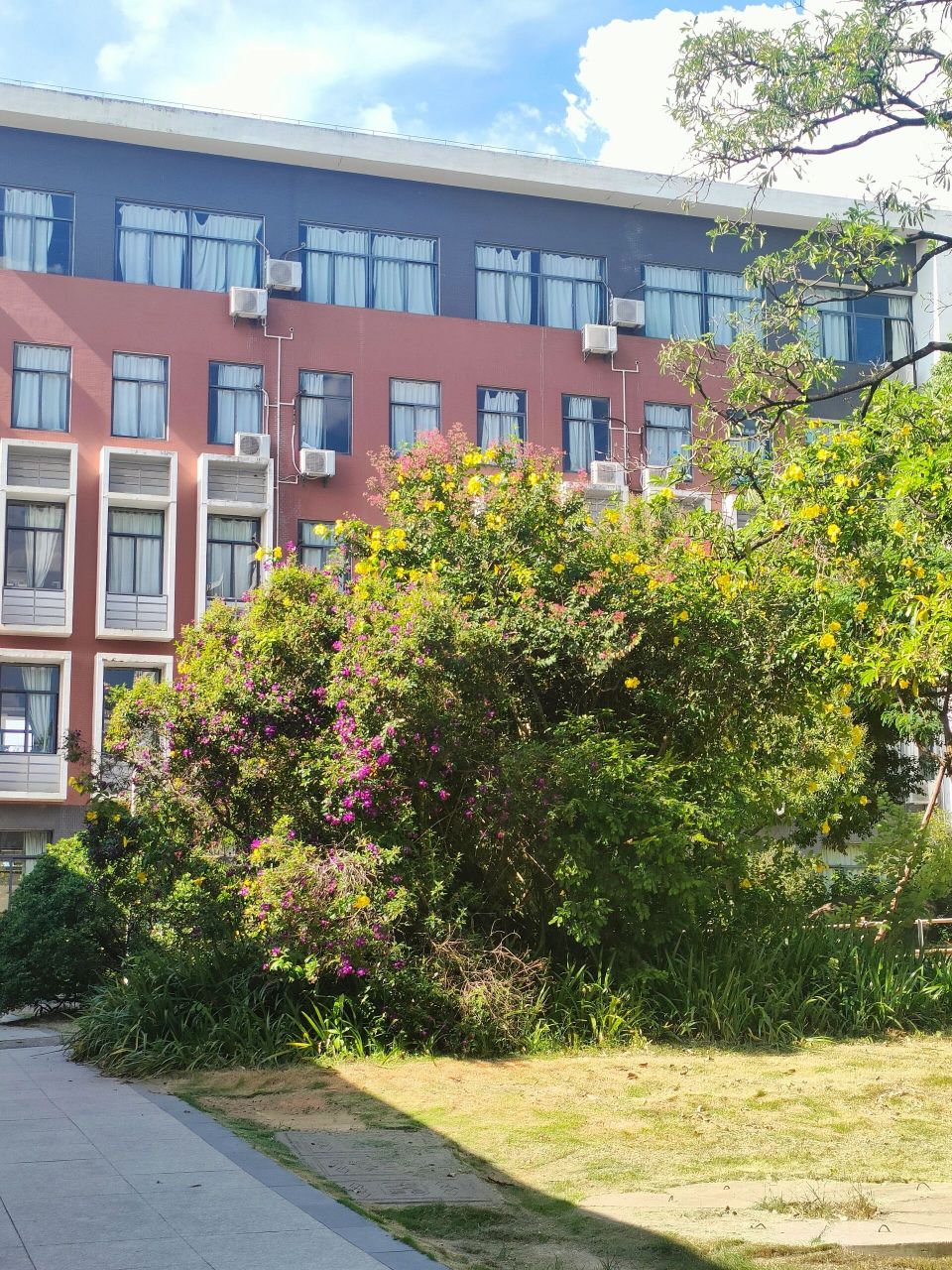 漳州正兴学校   准高一  同校可d