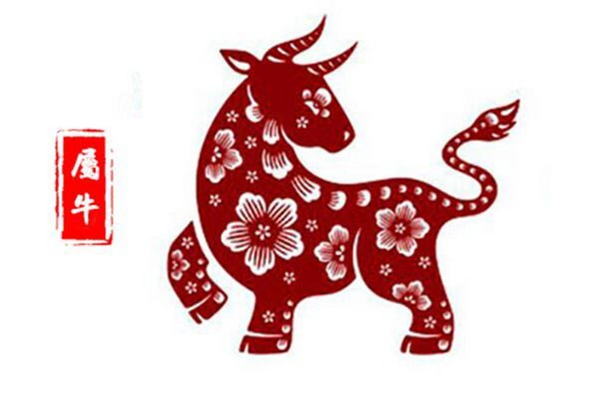 生肖属牛的人 2021年6月24日 运势 今日爱情运 洁身自爱,远离露水姻缘