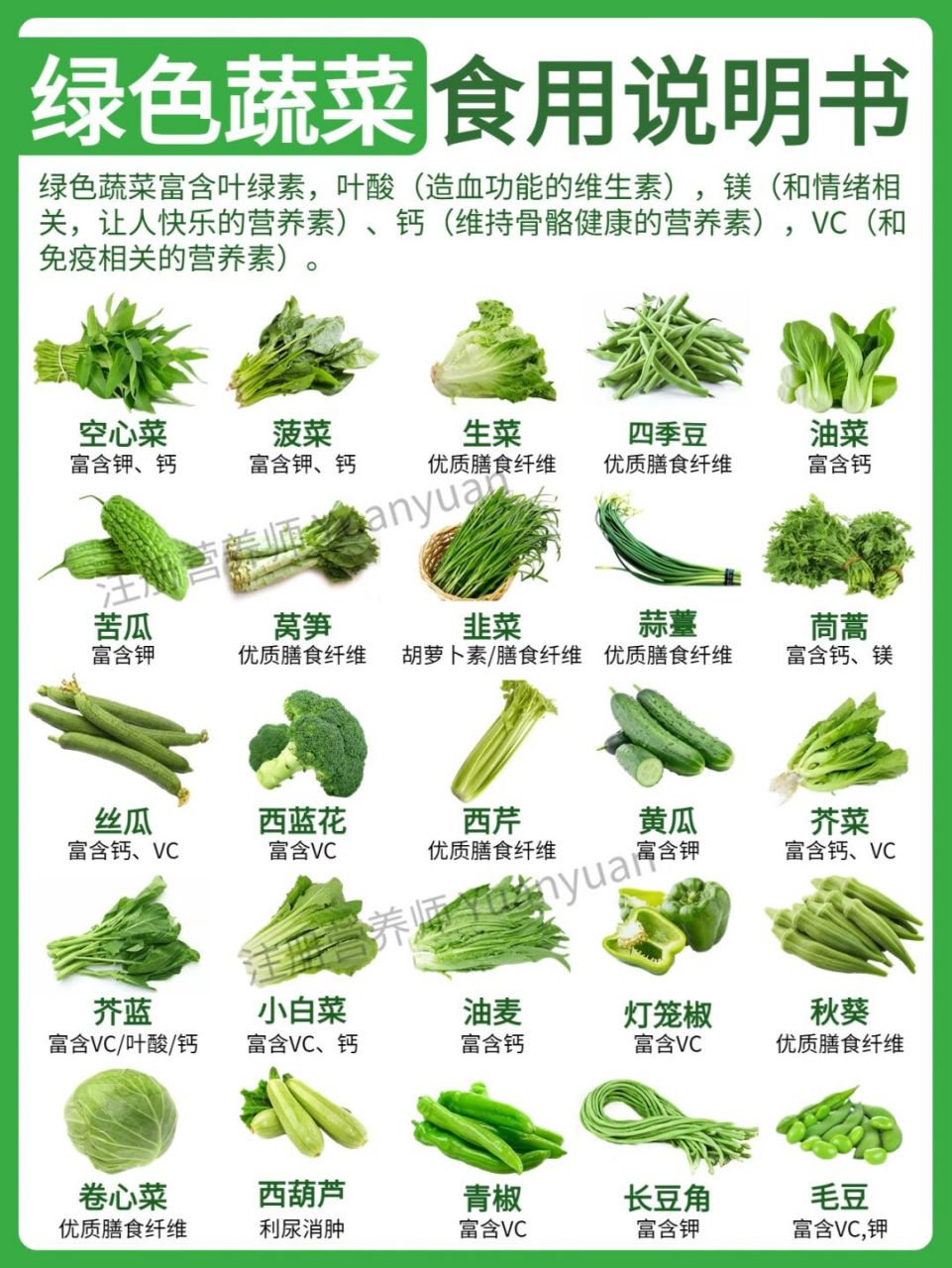 整理了常见的绿色蔬菜营养价值,做法,储存方式,大家保存收藏!
