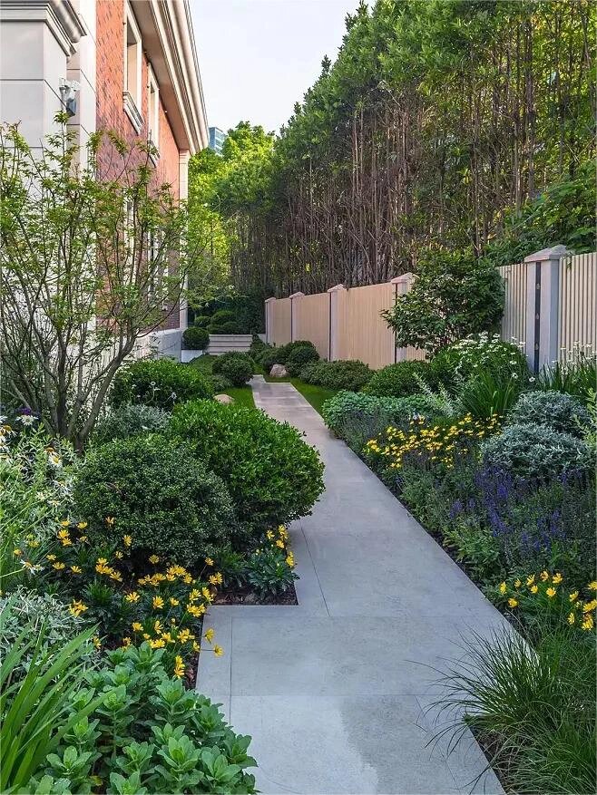 93别墅庭院灌木球 |"龟甲冬青" 99龟甲冬青球是龟甲冬青修剪而成