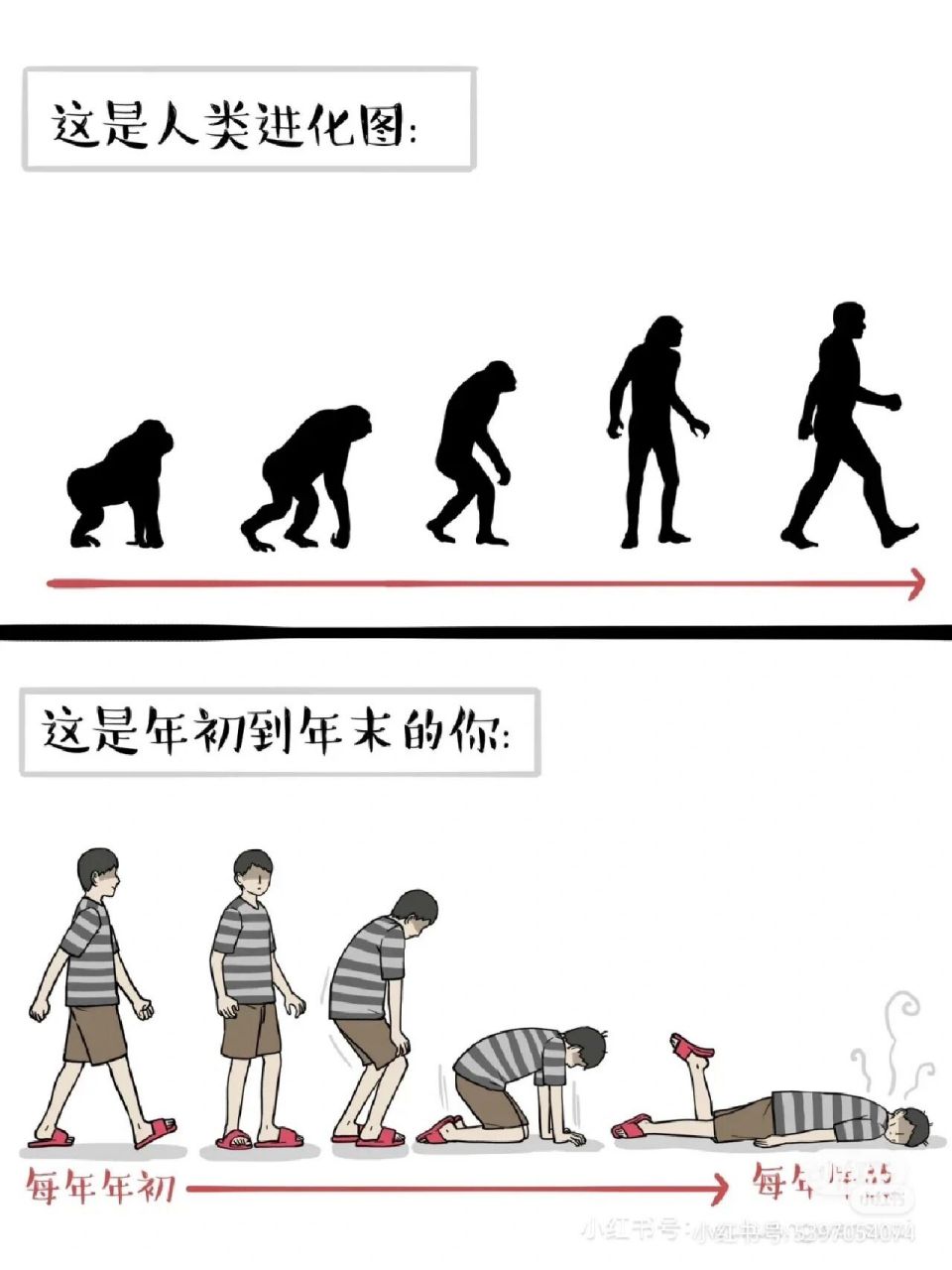 人类进化史 不是原创