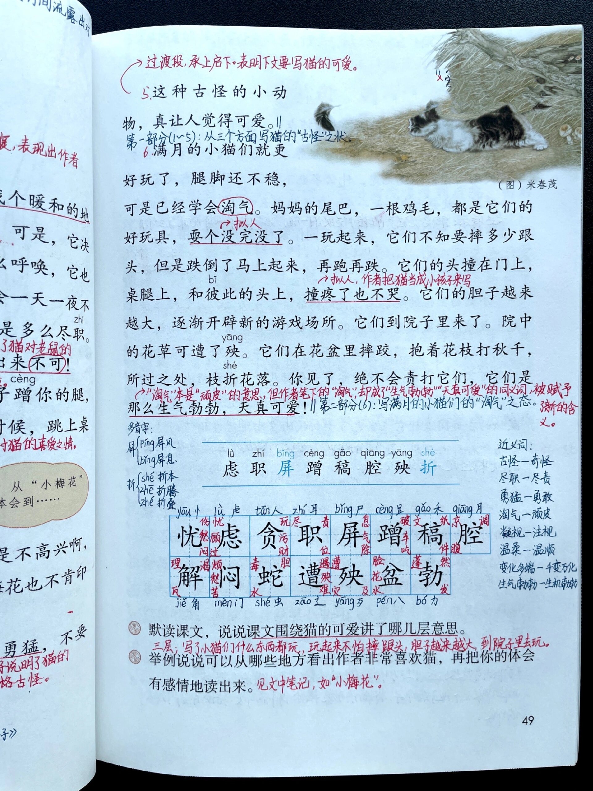 《猫》笔记 小学语文六年级下册第13课《猫》课文笔记