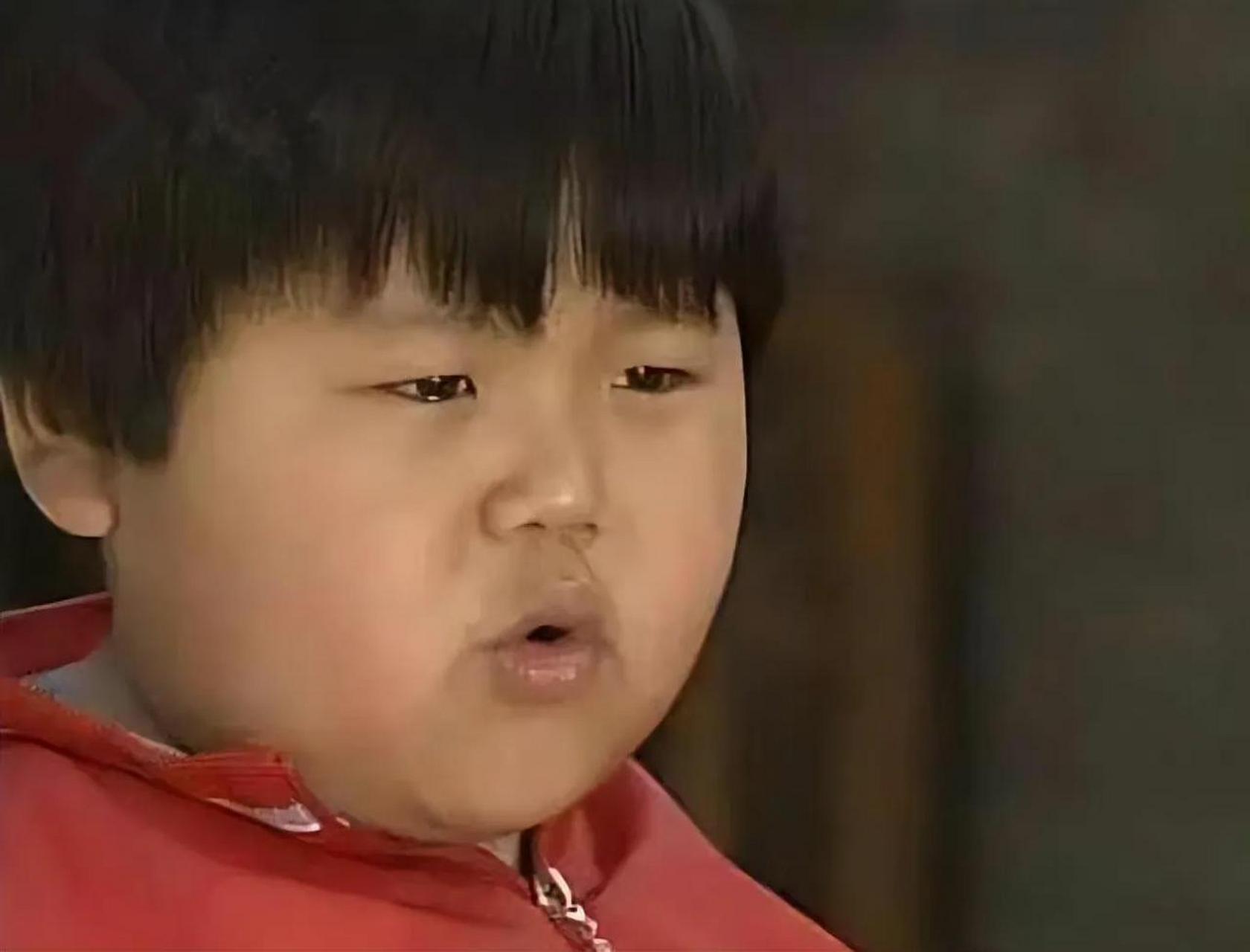 据《小龙人》陈嘉男 ,演员黄禾 透露,《小龙人》贝贝扮演者陈晨因病于