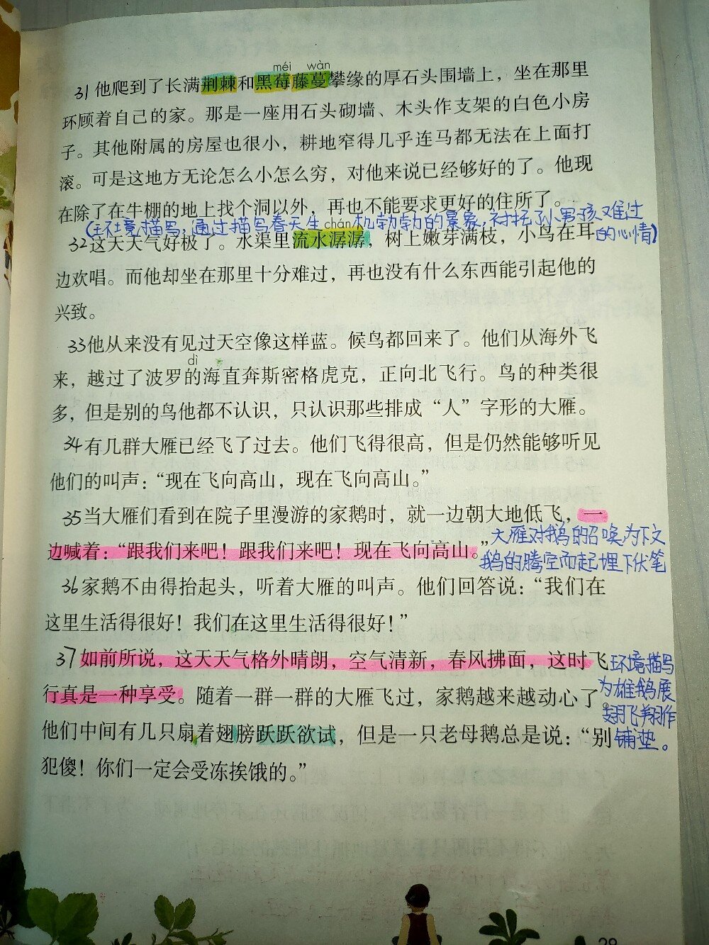 骑鹅旅行记批注摘抄图片