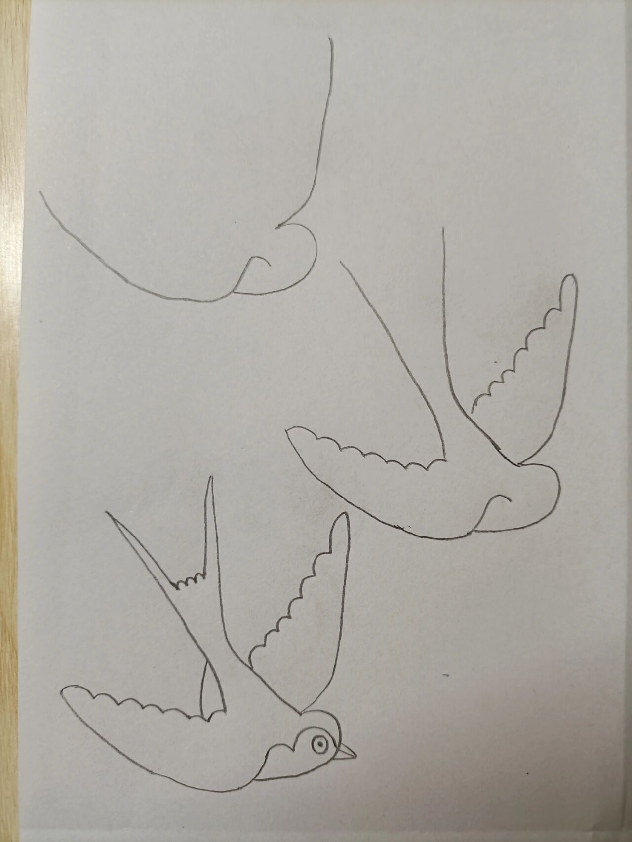 简笔画144小燕子