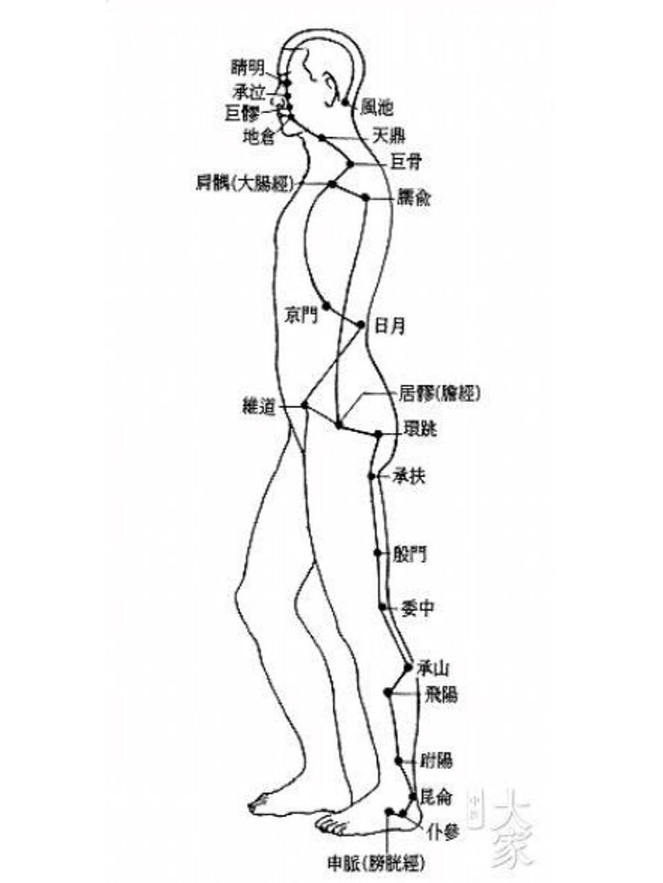 经络腧穴-阳跷脉 阳蹻脉者,起于跟中,循外踝上行,入风池.