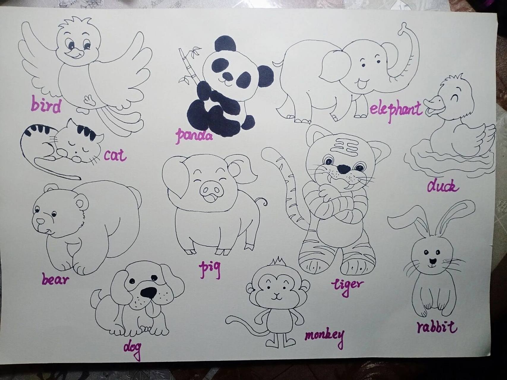 三年级英语手抄报 英语单词 英语小报