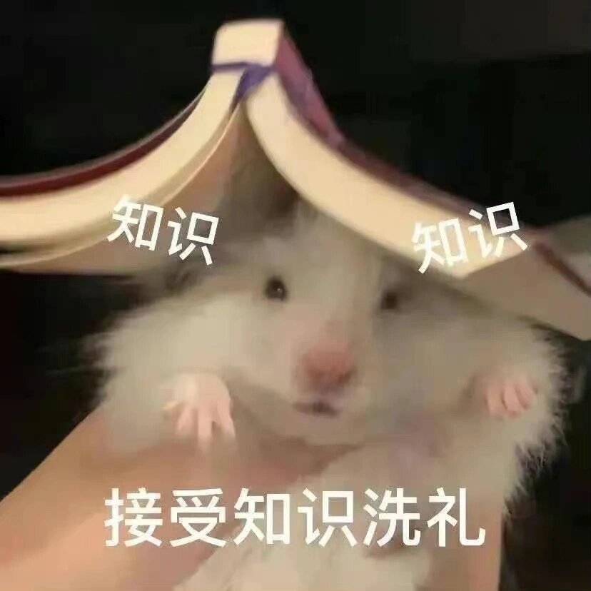 学习表情包!