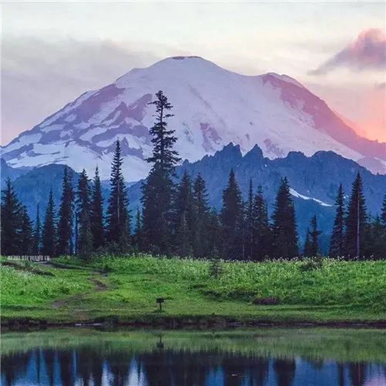 适合年龄大的头像 中老年人专属微信头像,快来看看吧 羡慕从不盲目