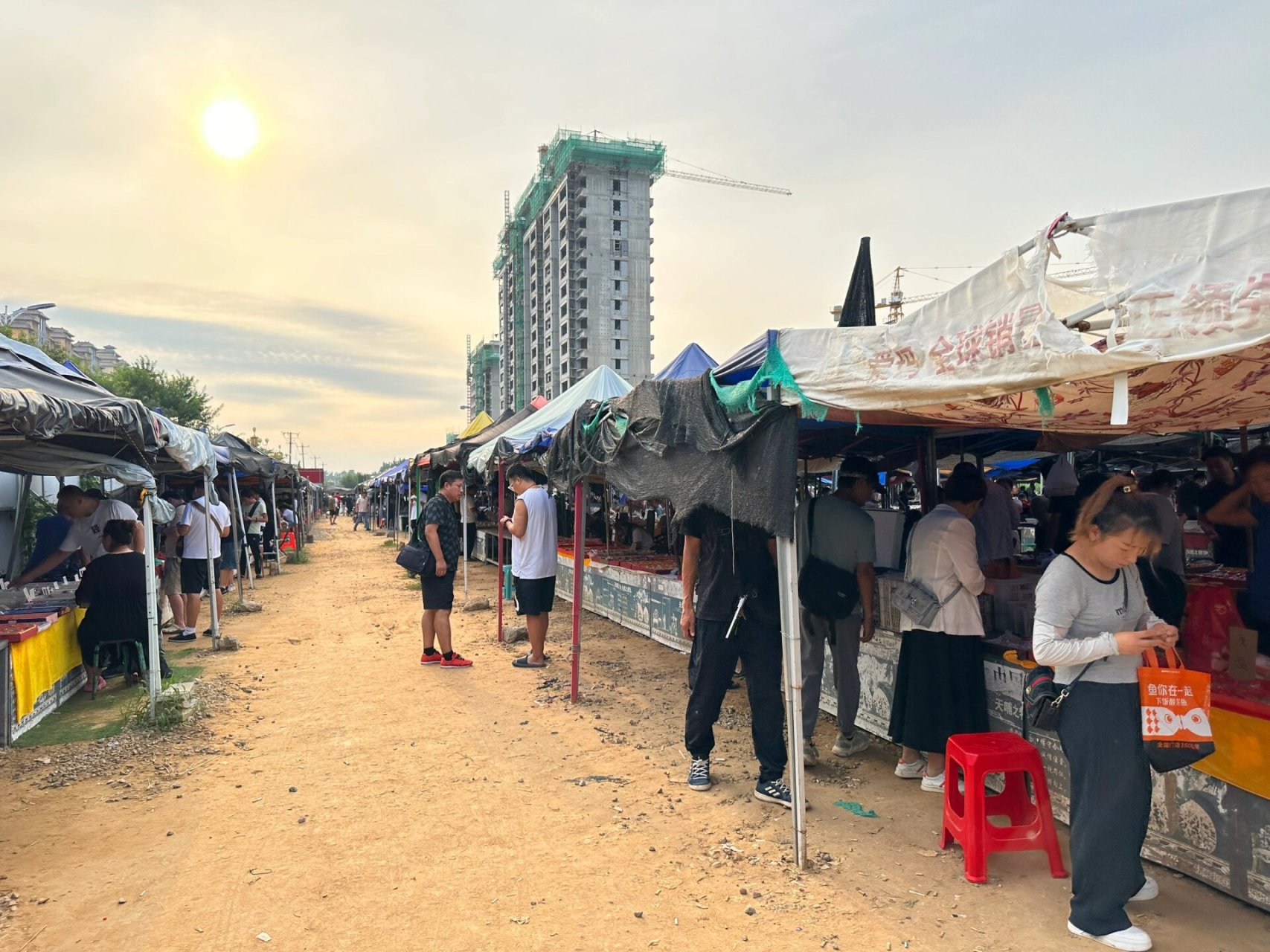 涞水文玩核桃市场,玩家的乐园 上午三义村,下午北二环,不用抢,不用赶