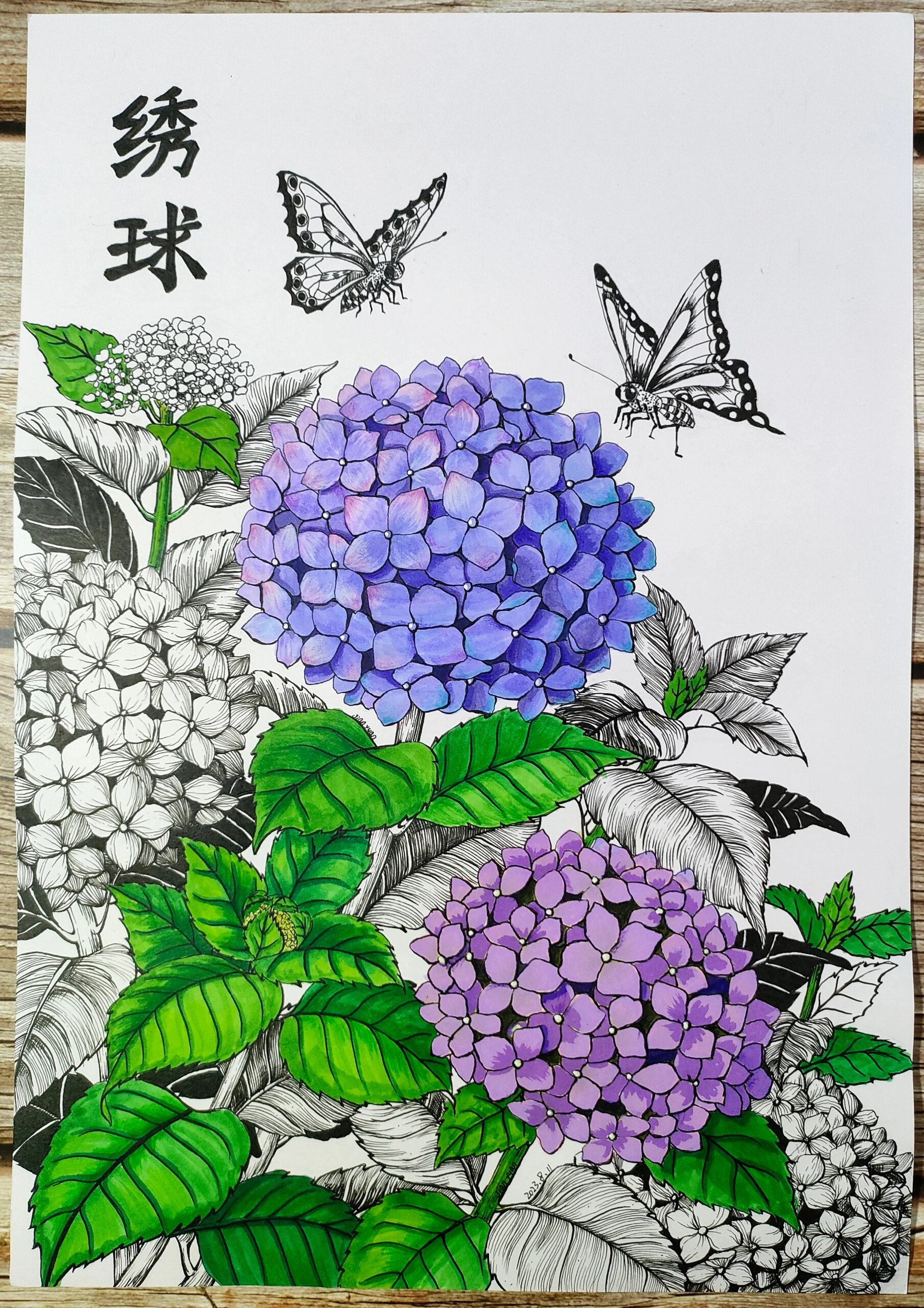 绣球花简笔画 马克笔图片