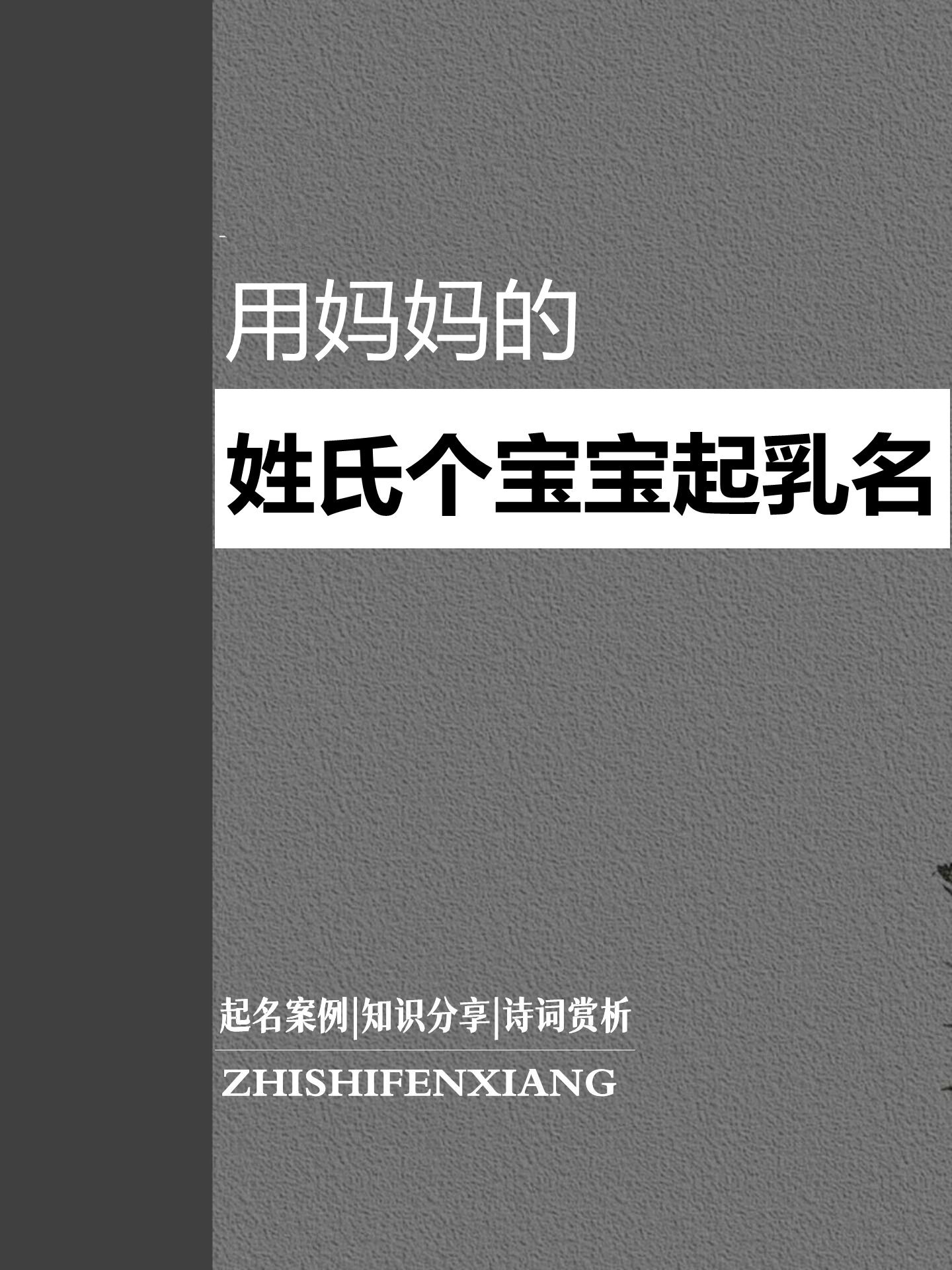 主角姓叶从小和母亲在一起