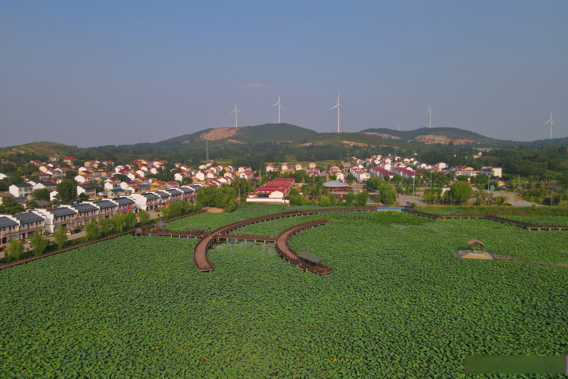 柳泉饶山图片