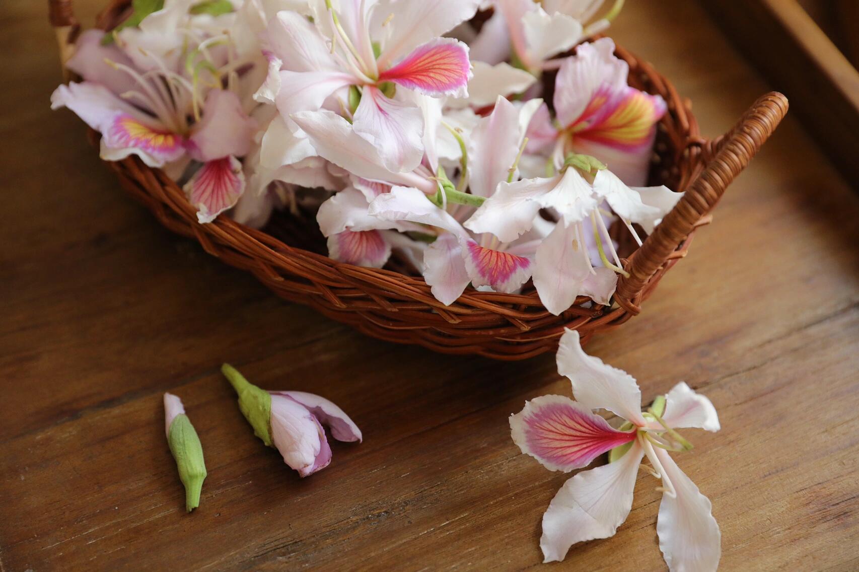 春之味——野花食馔·玉荷花  92云南百花之宴,数玉荷花(玉合花)高