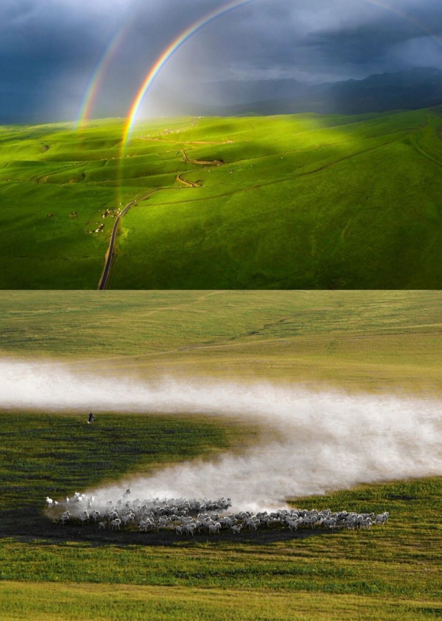 中国国家地理 | 夏天,去看草原最美的风景 91夏天的草原天高云低