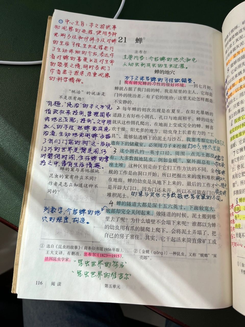 八上语文21.《蝉》备课笔记