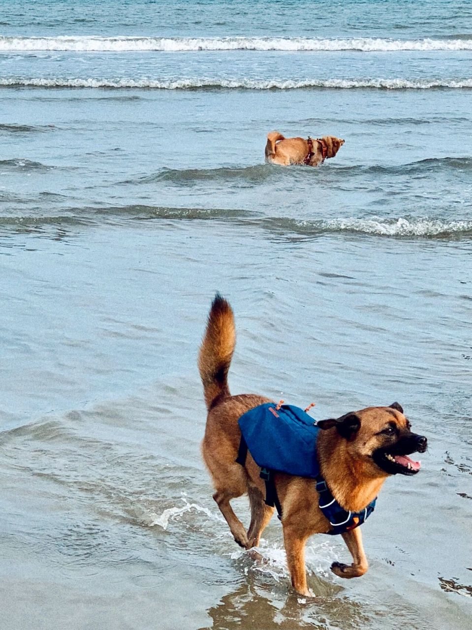 10湛江吴川鼎龙湾度假村家庭出游攻略 出行07湛江霞山出发 自驾1h
