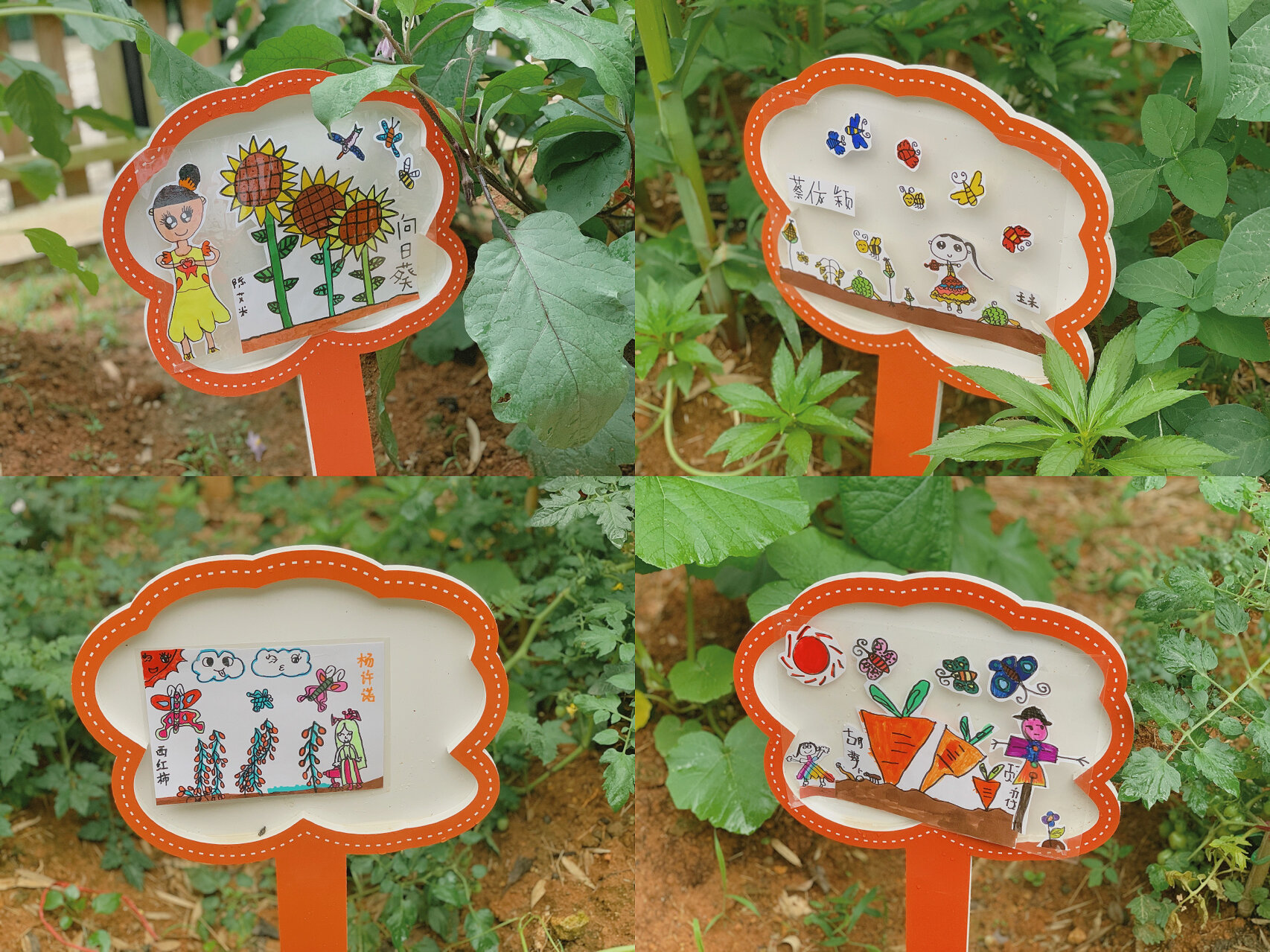 植物园标牌95 幼儿自主绘画标牌