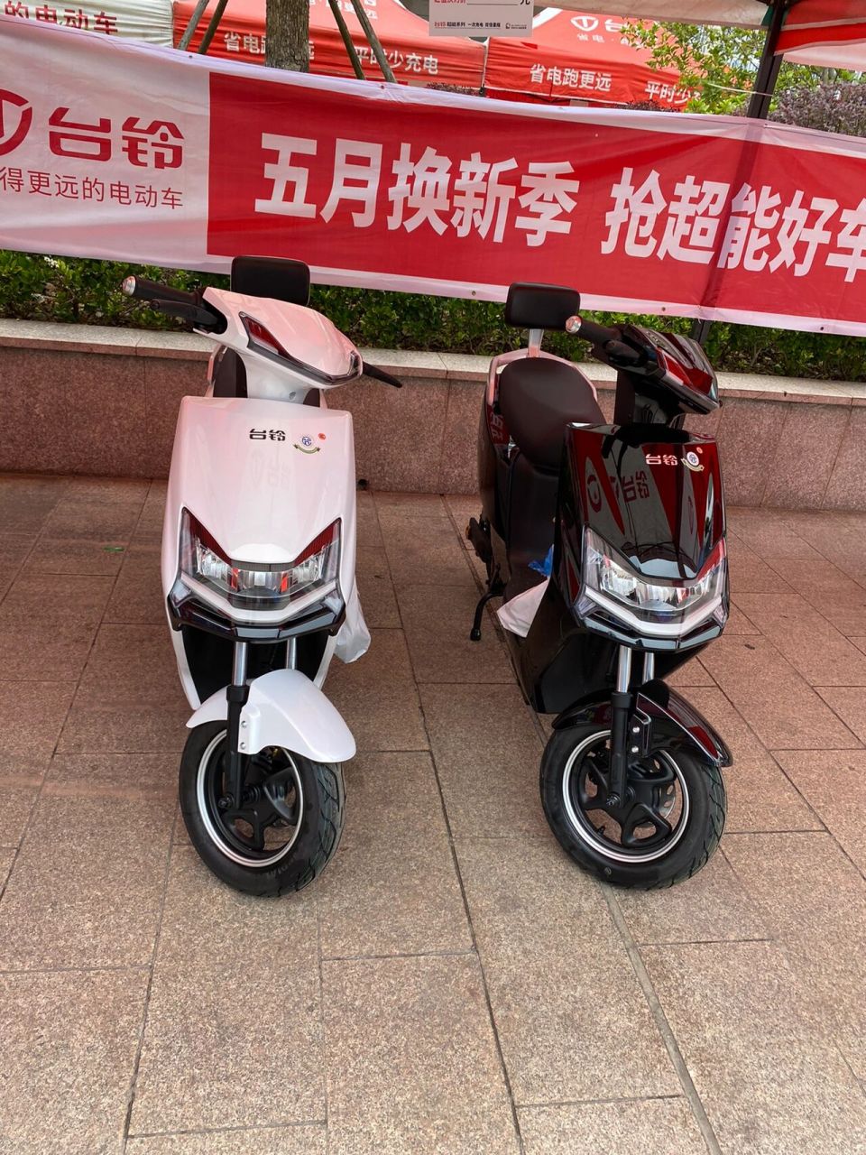 不需要驾驶证的新国标电动车 以下车型都是新国标款哦,不需要驾驶证就