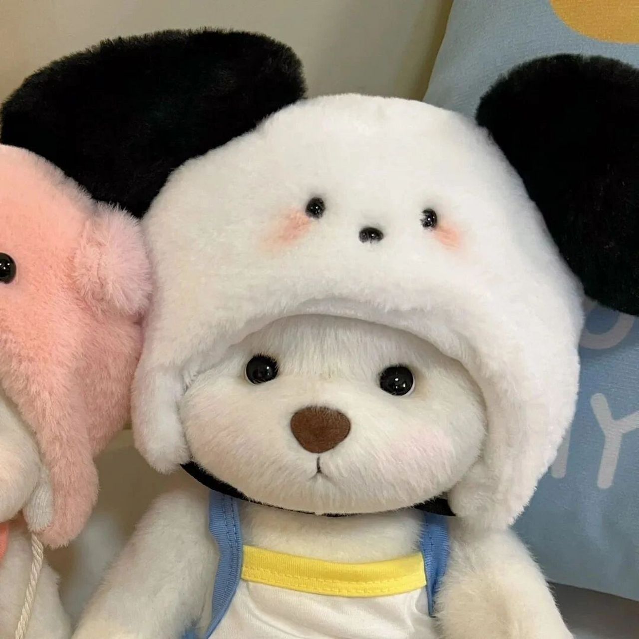 情头分享 | 真人/可爱公仔 情头分享,图源网络,侵删.