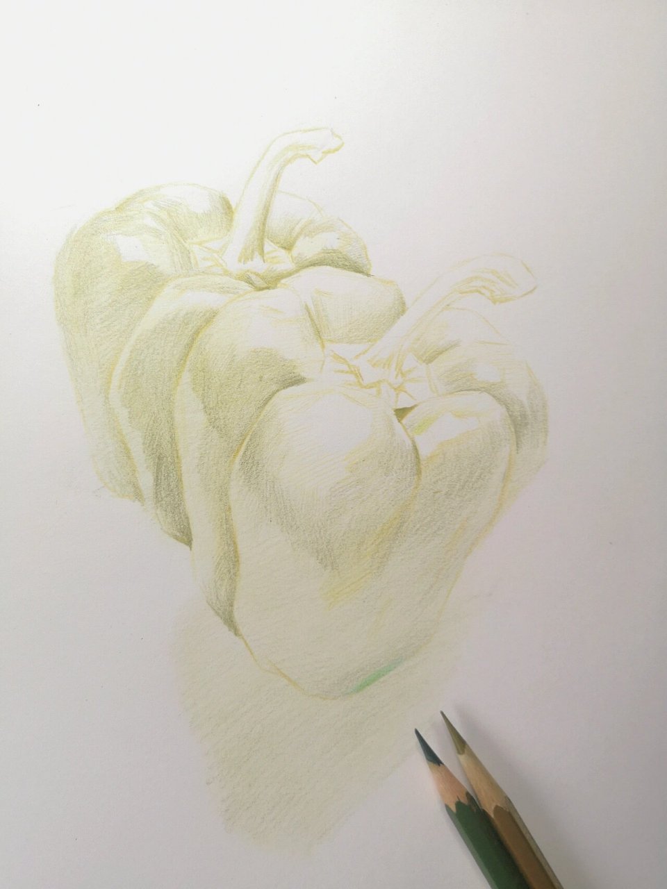 彩铅手绘基础 青椒 铺色步骤分享 彩铅 如何铺色?