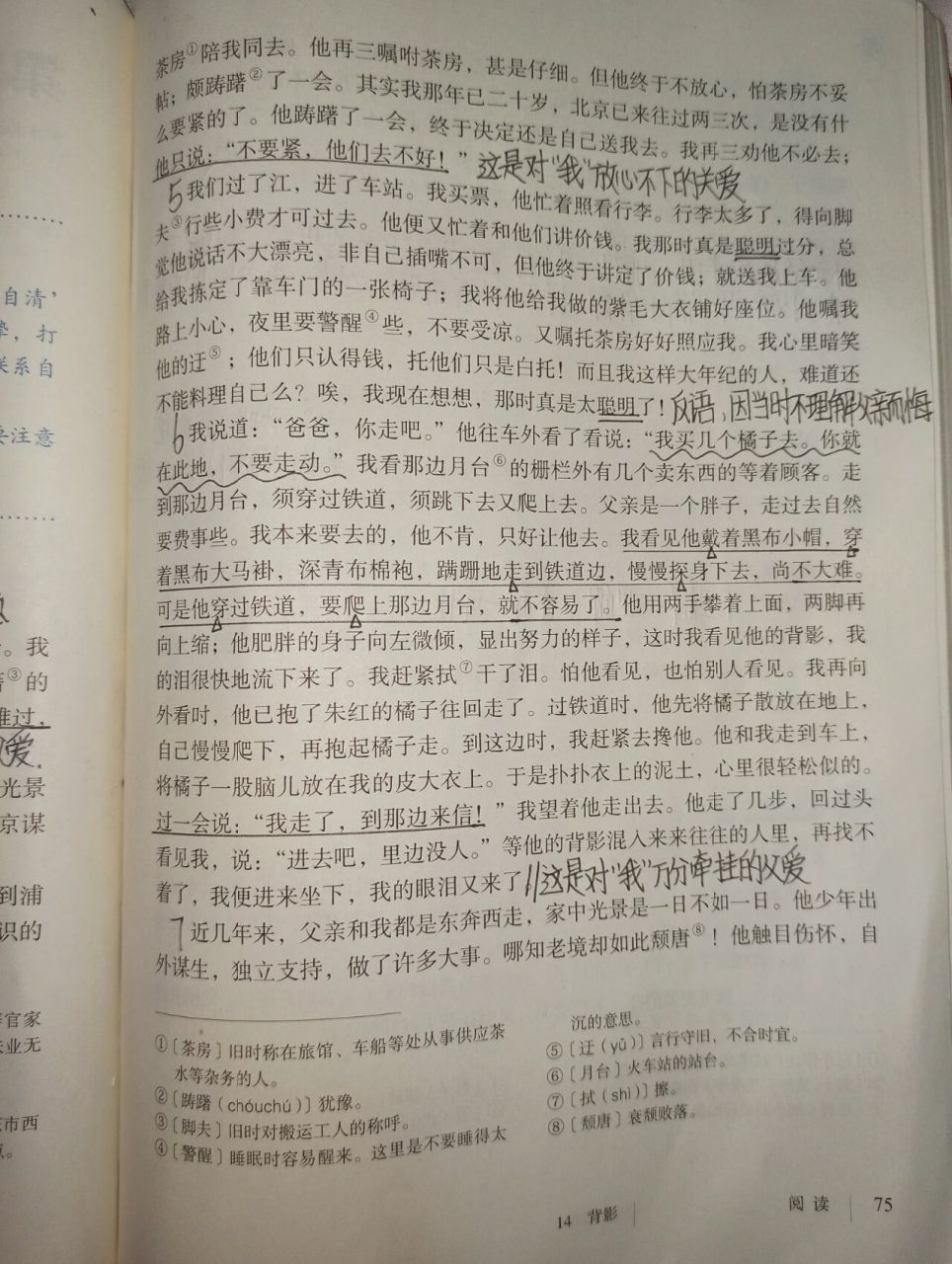 朱自清的背影笔记重点图片