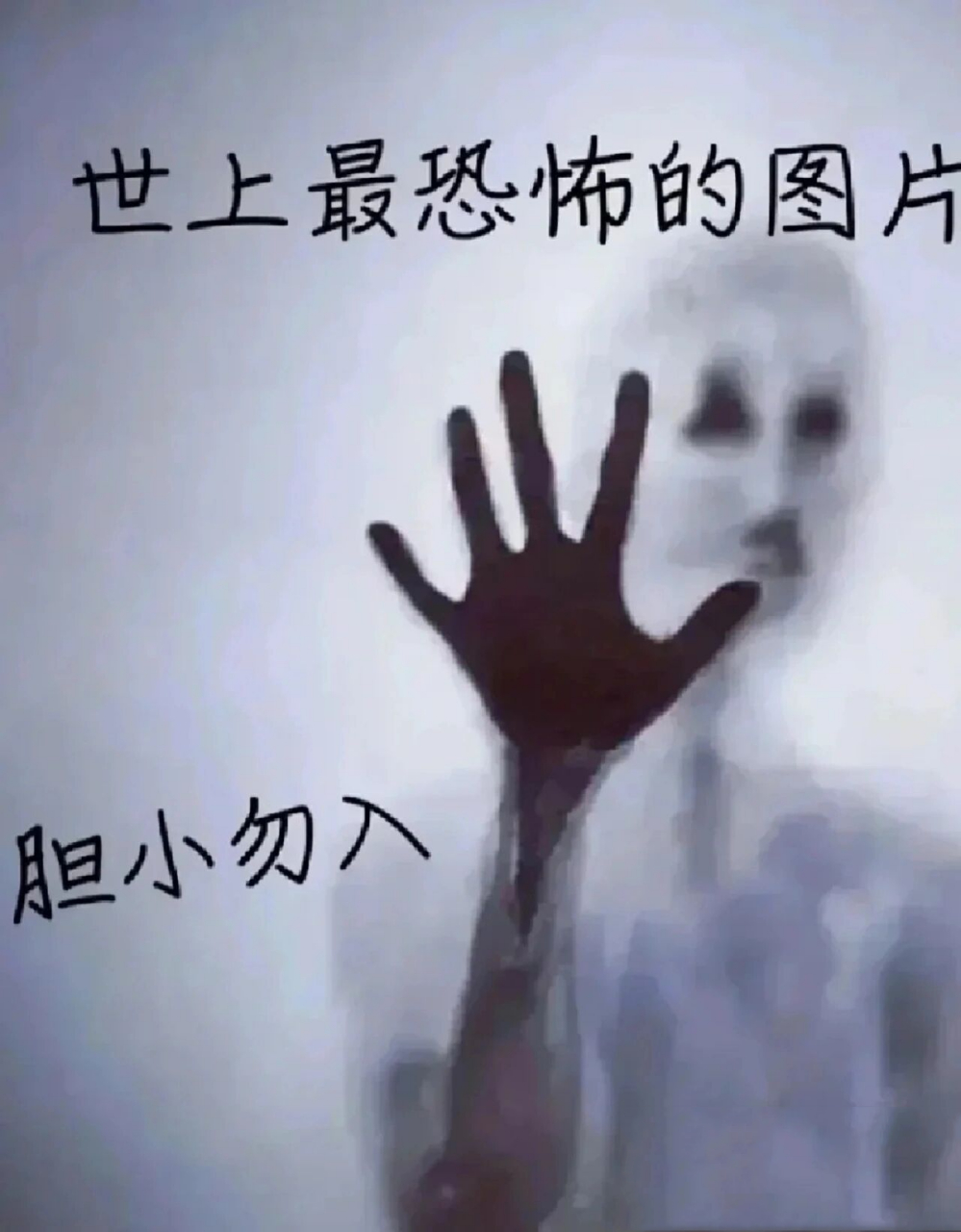 世界上最恐怖的图片 大家快来用狗头保命!