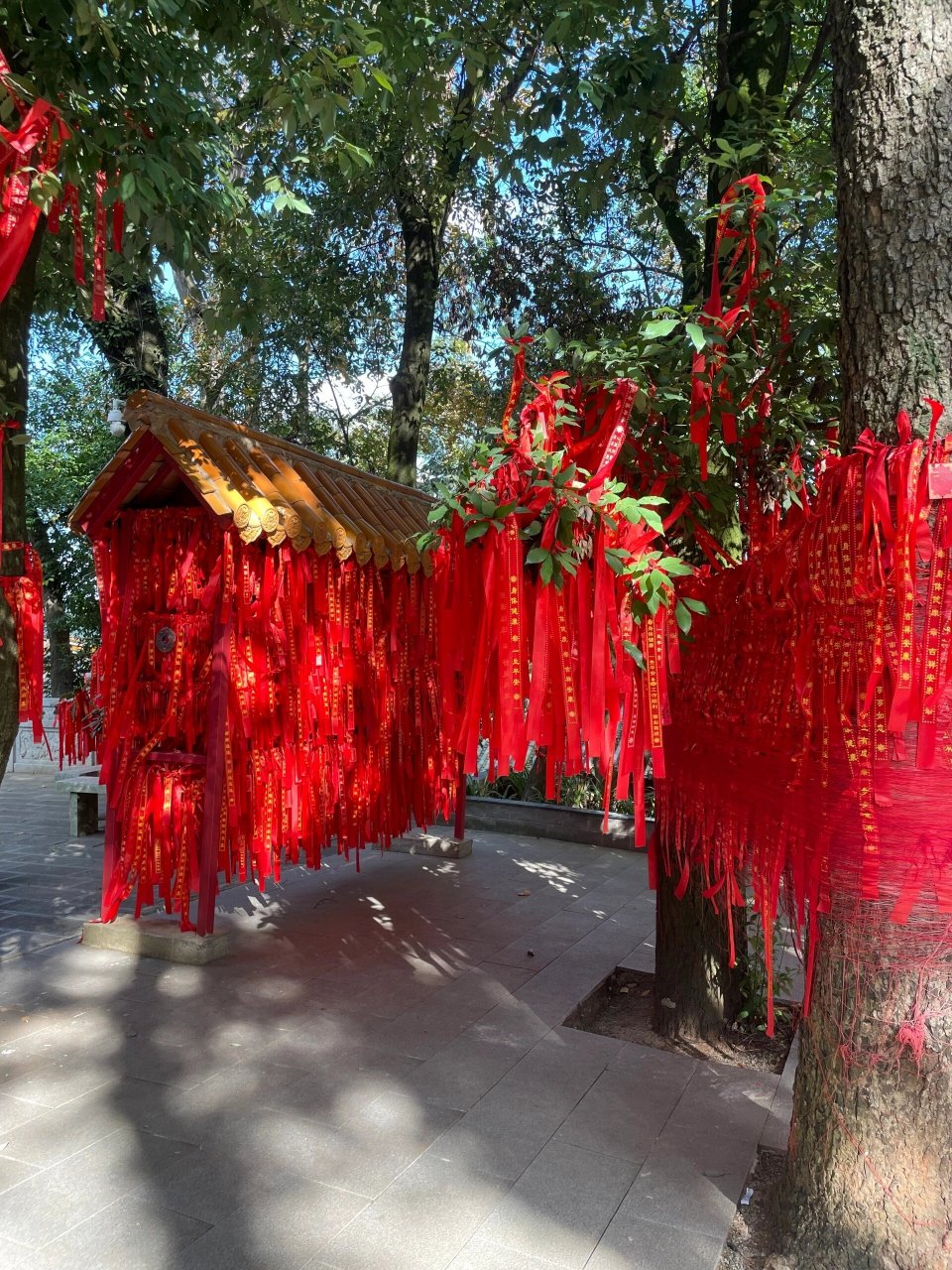 安宁曹溪寺事件图片