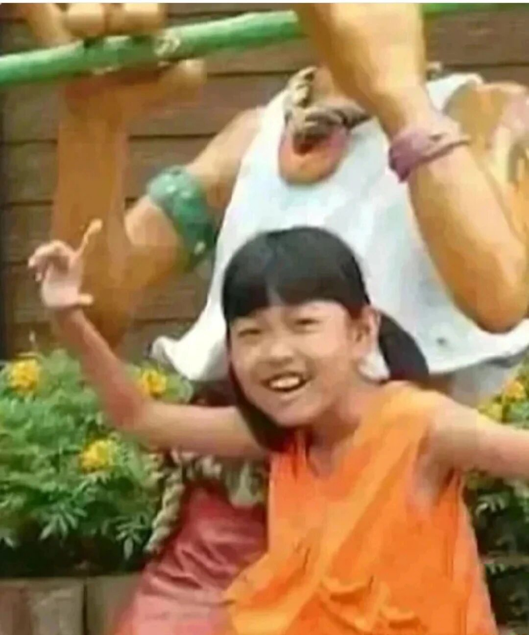 哦吼小闪电的美照 不进肯定后悔 最后一张是今天去超市打印的(免费)