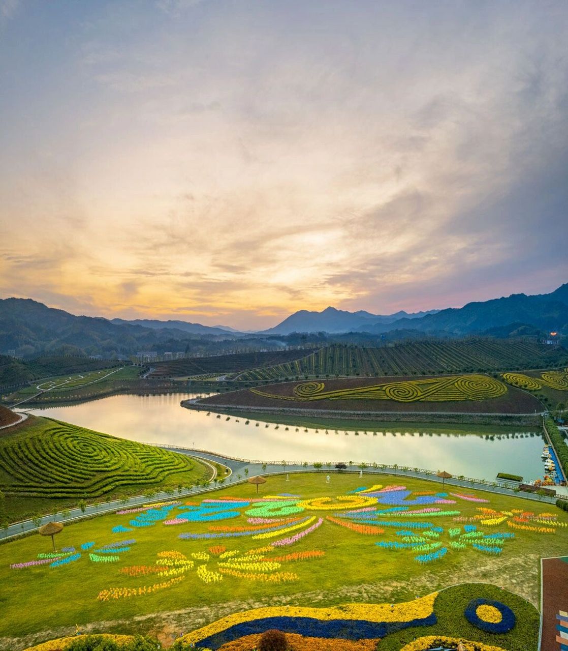 轻松玩转·安化 茶香花海 茶乡花海;斥资6亿,占地3000亩;以茶为基础