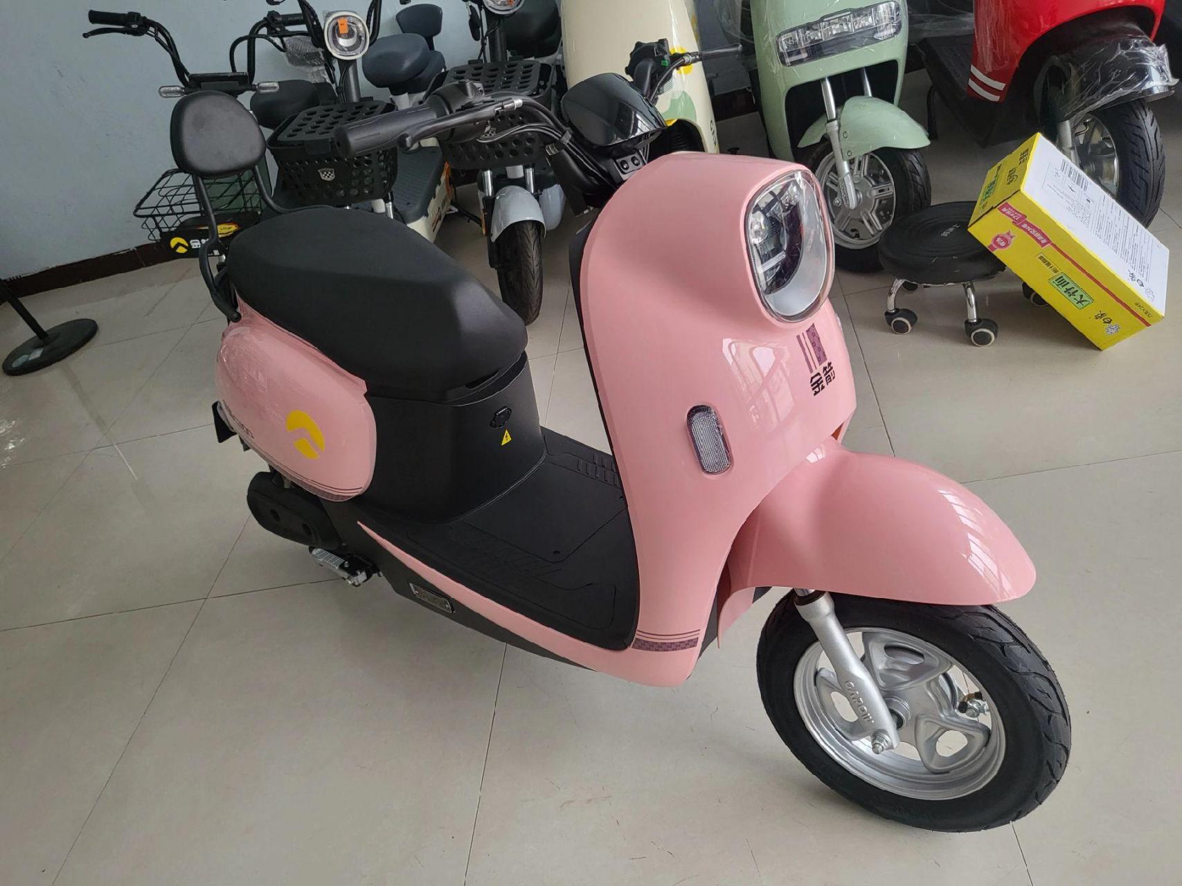 骑不坏的金箭电动车,安装五块大电池图片粉色款以旧换新1299元!