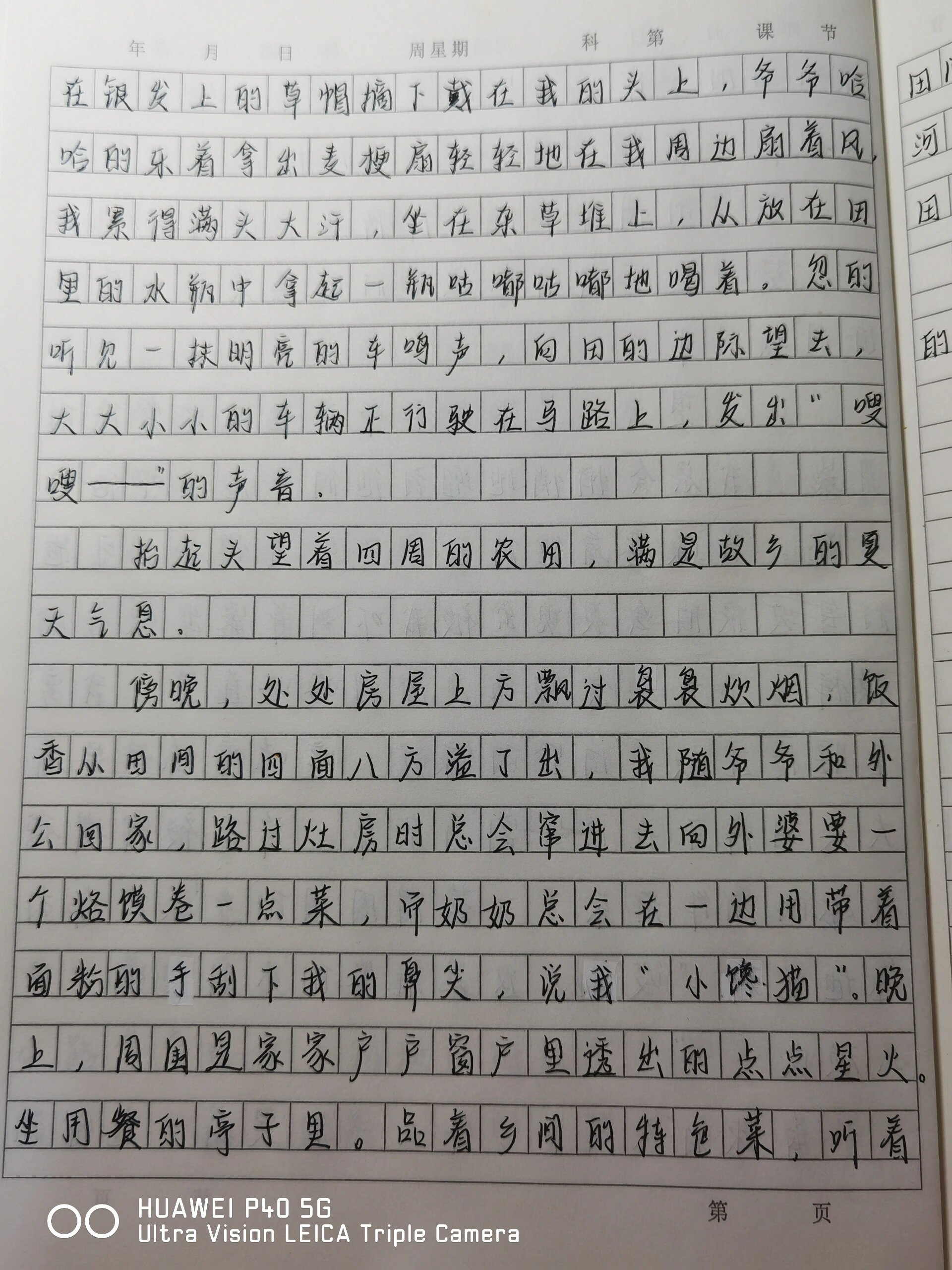 作文《故乡之夏》