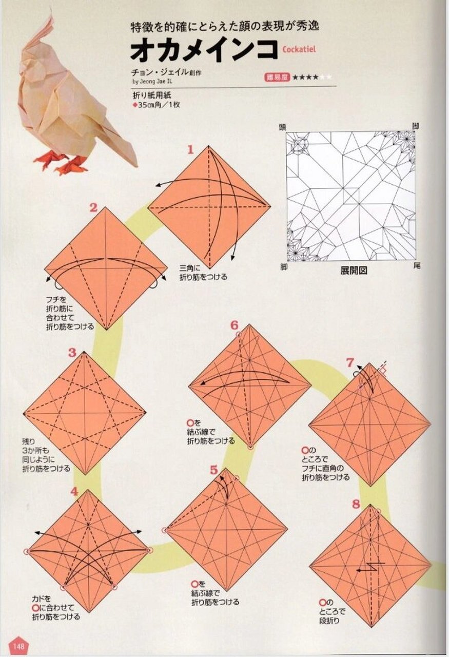 双色折纸折法大全图片