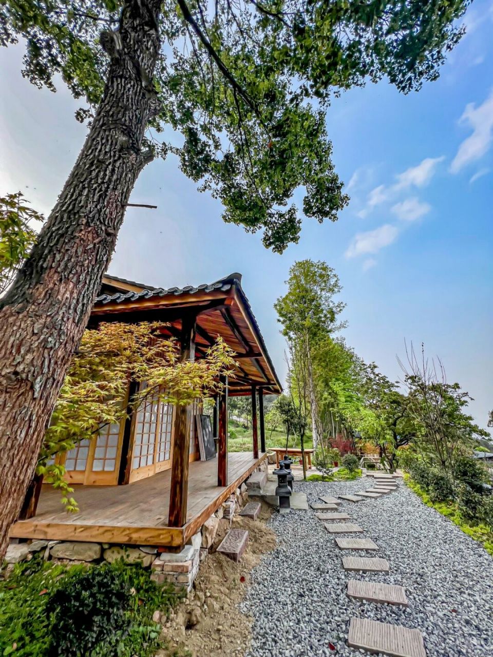 被问疯了98 大学城虎峰山新晋打卡地,可以喝茶,民宿,餐食还在提升中