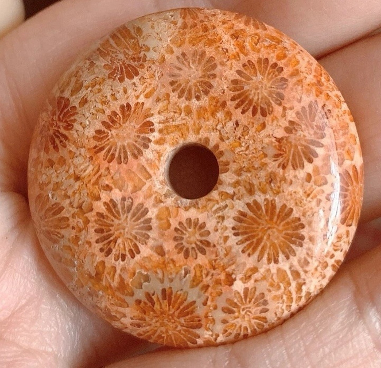 珊瑚玉 珊瑚玉化石又名菊花玉,是经历数亿年的地壳运动,地热煎熬,高温