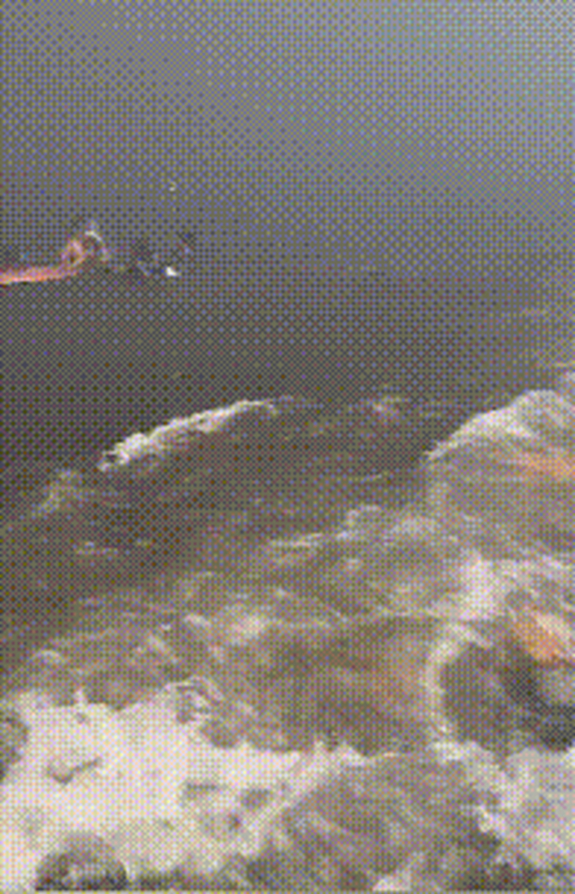 夏威夷大火约100人跳太平洋逃生#夏威夷山火这场面,堪比好莱坞阅蜒