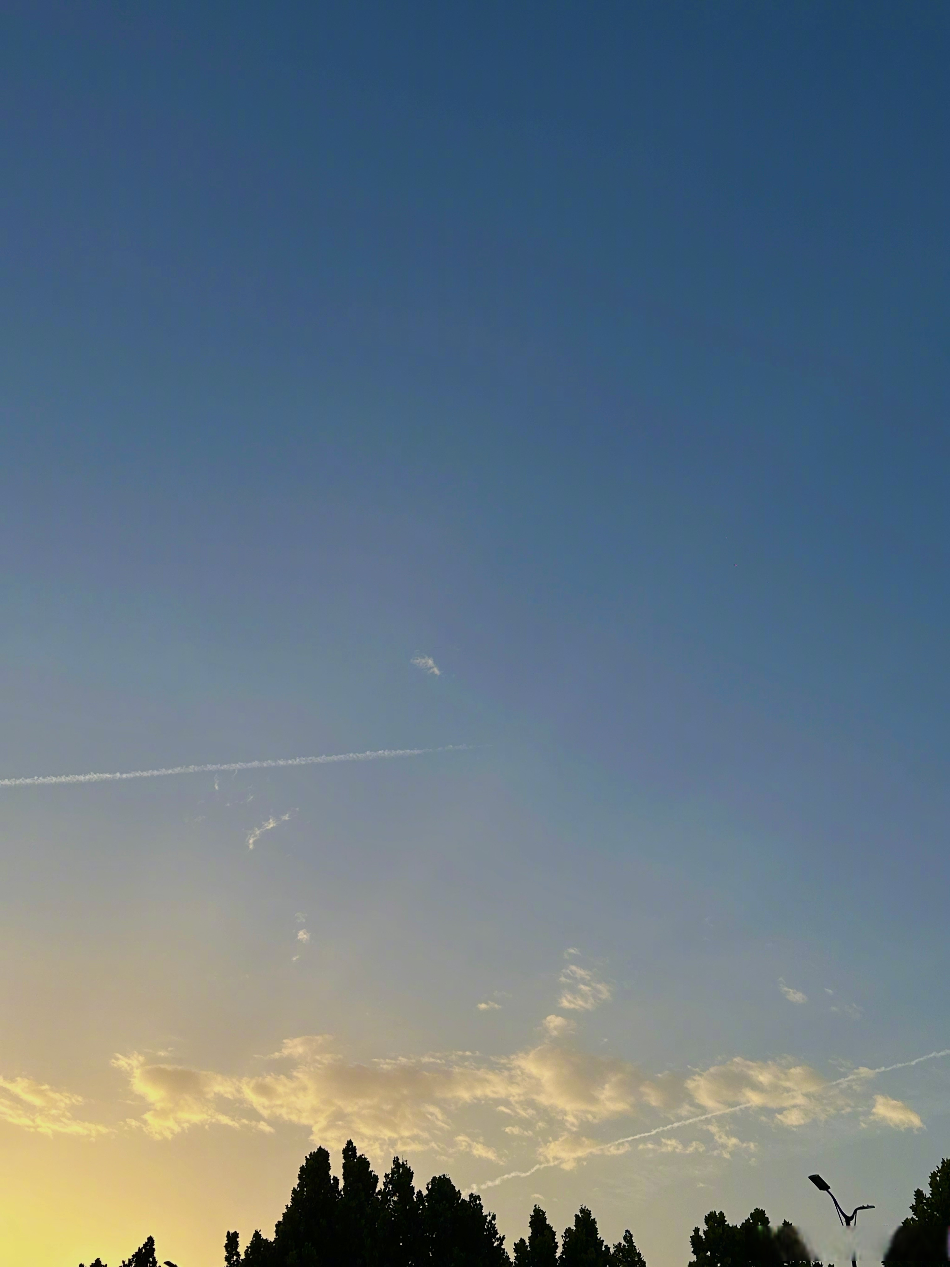 还记得一年前的那个夏日夜晚吗