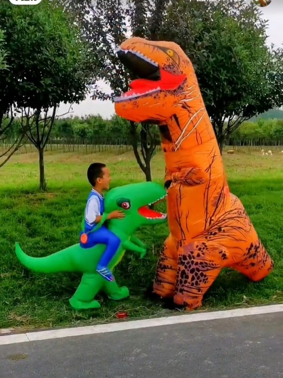 跨境专供恐龙霸王龙充气服装卡通人偶服 恐龙霸王龙充气服采用190t