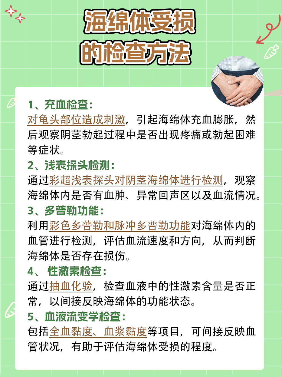 海绵体受损可以自己恢复吗 ,医生解答 海绵体是人体最硬的平滑肌和